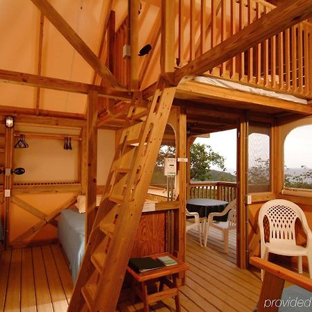Concordia Eco Resort Номер фото